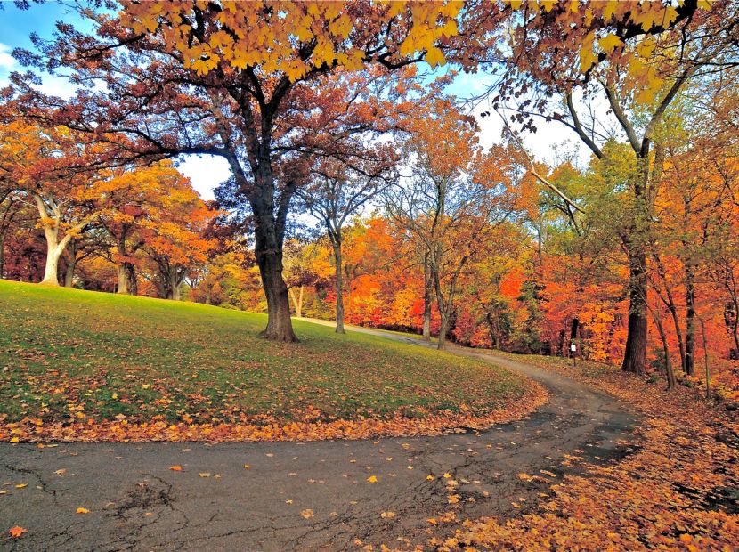 Eagle Point Park in Fall